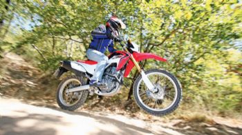 Honda CRF 250L:  ! 